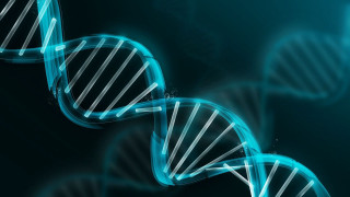 Blue white dna strand black - double free wallpaper