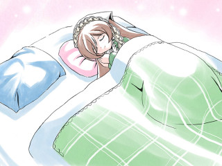 Sleeping person bed blanket pillow - a blanket free wallpaper