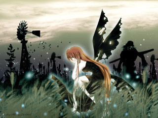 Girl bird field silhouette night - anime art free wallpaper for desktop