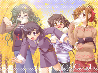 Girls cat yellow background aya - a group of girls free wallpaper