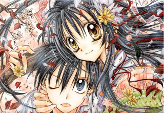 Ai mitsu anime flower girls - a background of flowers free wallpaper