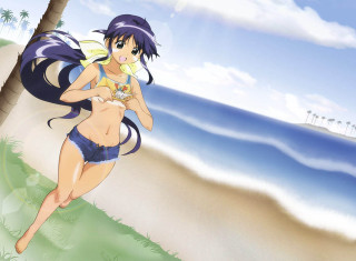 Woman bikini running beach bird - the beach free wallpaper for desktop