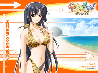 Beach sunset woman bikini ocean - a beach next free wallpaper