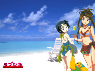 Beach girls duck sand bikini - two woman free wallpaper for desktop