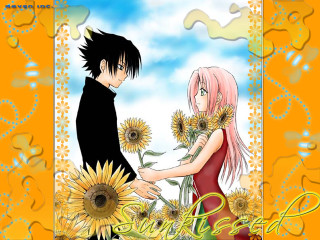 Anime couple sunflowers summer manga - a couple of anime characters free wallpaper