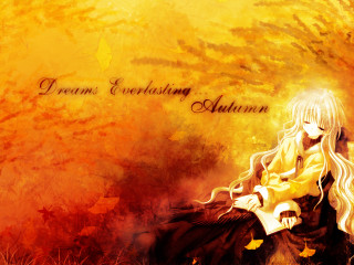 Woman bench field book autumn - a book in her hand free wallpaper