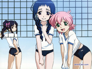 Pink hair anime girls fence - a picture together in front free wallpaper