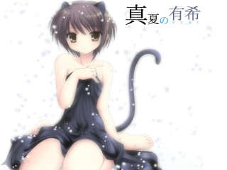 Woman cat ears snow sitting - a cat tail free wallpaper