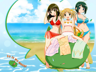 Three girls beach birthday bikini - happy birthday free wallpaper