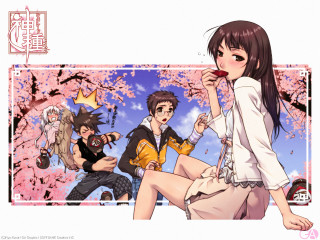 Girl bench cherry blossoms spring - a bench free wallpaper