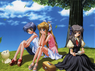 Anime girls sitting grass suitcase - a tree in the background free wallpaper