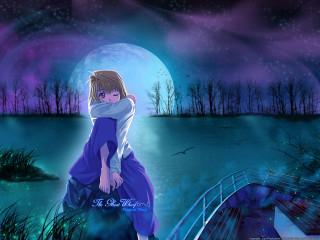 Moonlit anime girl blue dress - a full moon free wallpaper for desktop