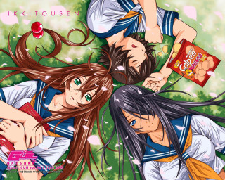 Anime girls blowing wind cherry - a book free wallpaper