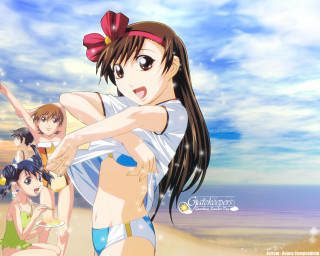 Beach girls wine anime bikini - a glass of wine free wallpaper