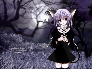 Anime girl black dress cat 2 - a cat tail free wallpaper