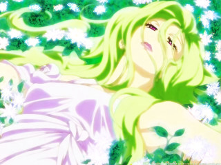 Woman laying grass flowers neck - the wind free wallpaper