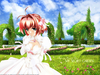 Anime girl white dress flower - a sky background free wallpaper