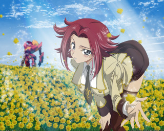 Girl flower field anime kallen - a man in the background free wallpaper for desktop