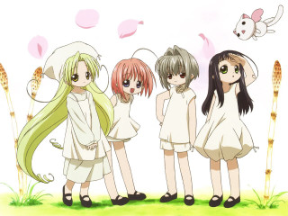 Three girls bird cat rayonism - three girl free wallpaper