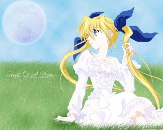 Blonde girl field blue bow - a blue bow free wallpaper