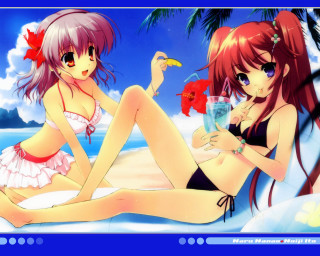 Anime girls beach drink bird - the other hand free wallpaper for desktop