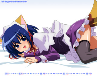 Girl purple outfit anime furry - her stomach free wallpaper for desktop