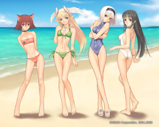 Three anime girls beach ocean - the picture free wallpaper