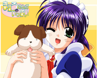 Girl stuffedanimal smile yellow background - word free wallpaper