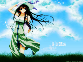 Woman dress hat walking grass - a woman in a dress and hat free wallpaper