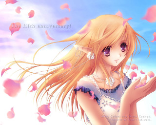 Girl longhair dress wind petals - the wind free wallpaper