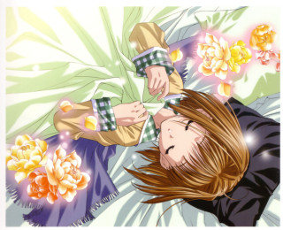 Girl holding flower blowing wind - the wind free wallpaper