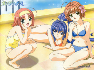 Three anime girls beach bikini - bathing free wallpaper