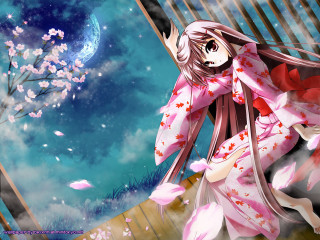 Kimono woman pinkflowers fullmoon anime - a street next free wallpaper for desktop