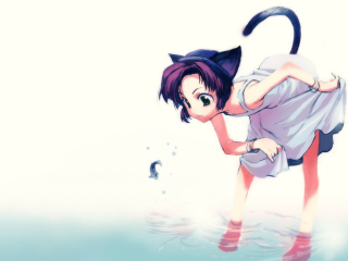Cat water anime green eyes - its tail free wallpaper
