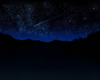 Night sky shooting star forest 2 - shooting free wallpaper