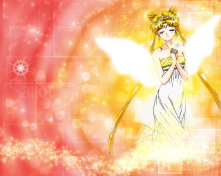 Fairy flower star anime fantasy - her hand and a star free wallpaper