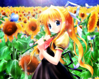 Sunflower girl umbrella blue butterfly - hint of yayoi kasuma free wallpaper for desktop