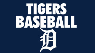 Tigers baseball team logo bat - derek hill free wallpaper