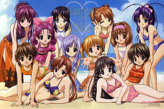 Anime beach girls bikinis pony - top of a beach next free wallpaper