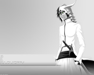 Arrancar solo sword white shirt - hat free wallpaper