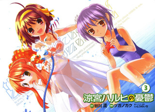 Anime girls bathing suits hose - a hose free wallpaper