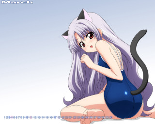 Cartoon catgirl longhair sitting anime - tachisme free wallpaper for desktop