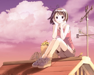 Girl roof flower basket anime - visual art free wallpaper