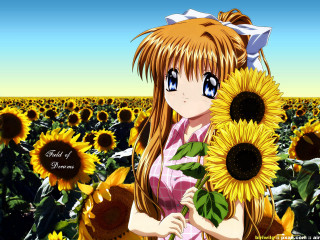 Girl sunflowers field anime bouquet - a girl holding free wallpaper