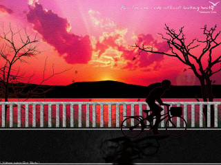 Bridge sunset bicycle pink sky - a bike free wallpaper