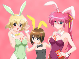 Anime girls bunny ears booze - three anime girl free wallpaper