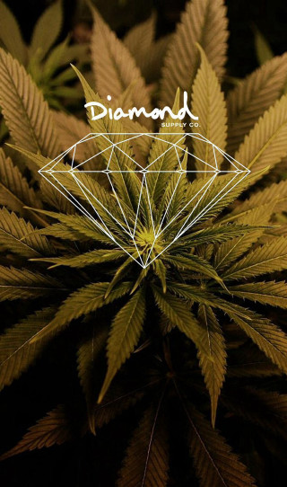 Plant diamonds dark word diamond - a plant free wallpaper for mobile