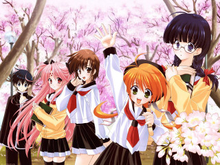 Anime girls cherryblossoms spring picnic - a park free wallpaper