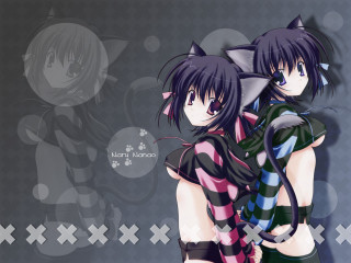 Anime girls hugging cat gothic - symmetry!! free wallpaper