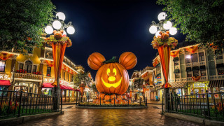 Mickey mouse pumpkin carved night - a face free wallpaper for desktop